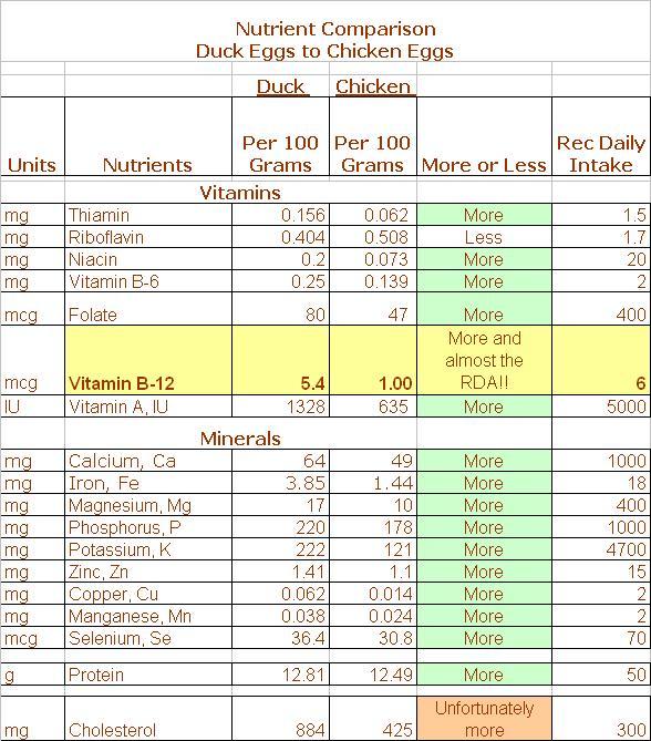 Duck Eggs Compared To Chicken Eggs Grow Great Vegetables