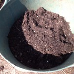 my compost